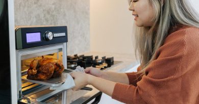 Melhores Air Fryer Oven de 2026