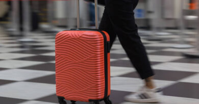 Malas de bordo para viagem em diferentes modelos