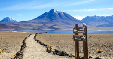 Deserto do Atacama: guia completo para sua viagem